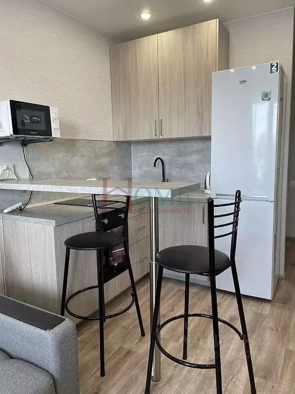 Студия Новосибирская область, Новосибирск ул. Адриена Лежена, 38 (25.0 ... - Фото 2