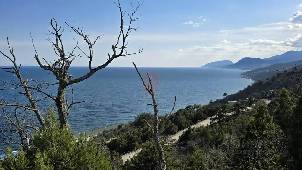 Участок в Крым, Алушта муниципальный округ, пос. Семидворье  (31.0 ... - Фото 1
