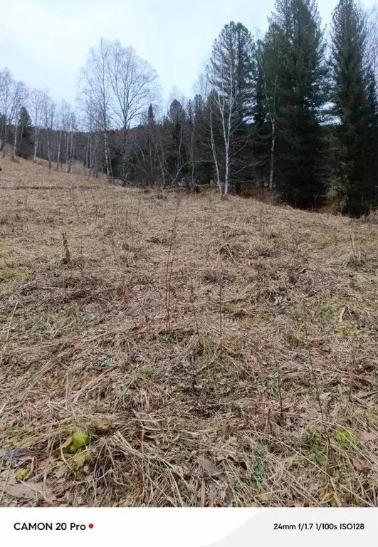 Участок в Алтай, Чемальский район, Элекмонарское с/пос  (300.0 сот.) - Фото 2