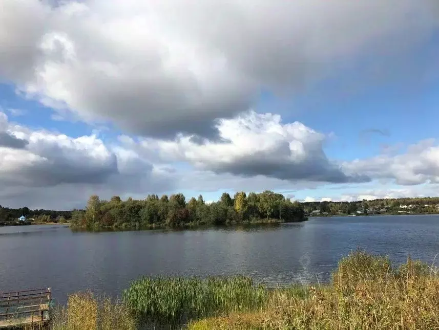 Участок в Ленинградская область, Лодейнопольский район, Алеховщинское ... - Фото 0