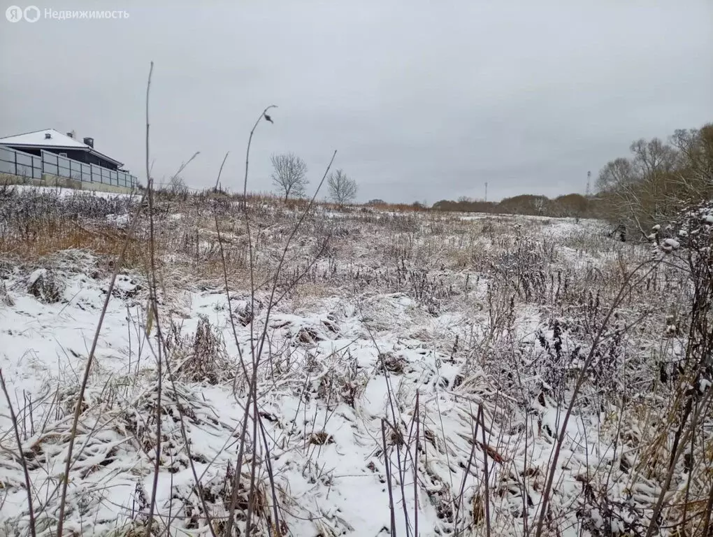Участок в Москва, ТАО, район Вороново, деревня Давыдово (8 м) - Фото 1
