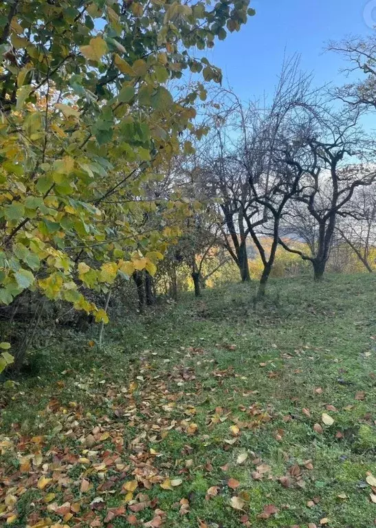 Участок в Краснодарский край, Сочи городской округ, с. Богушевка ул. ... - Фото 1