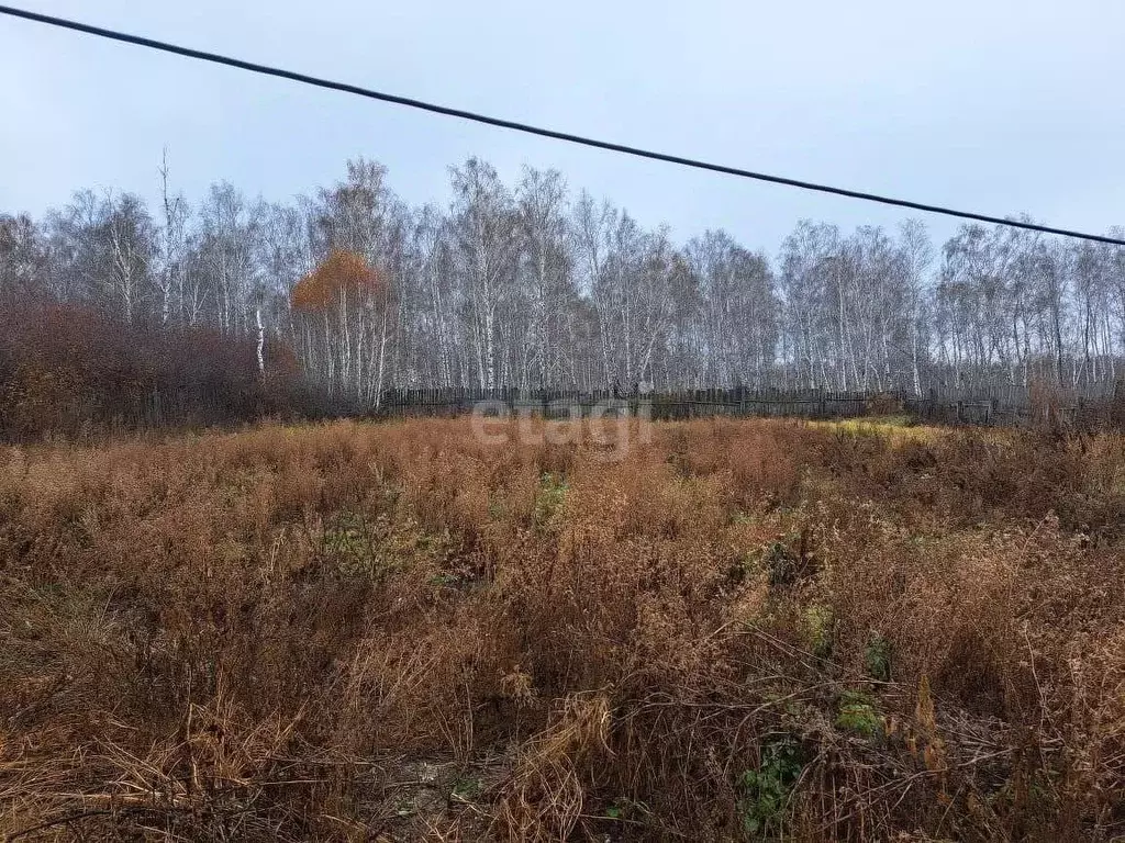 Дом в Челябинская область, Пласт Садовая ул., 30 (39 м) - Фото 0