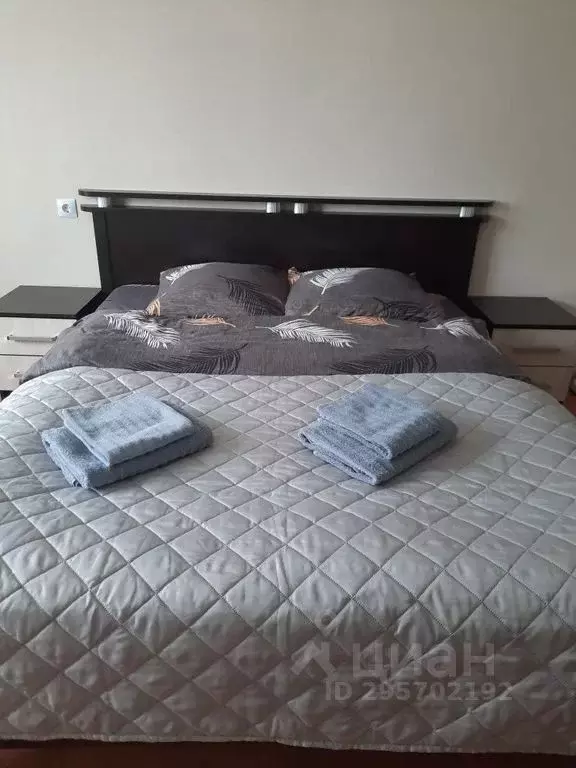 1-к кв. Нижегородская область, Нижний Новгород Мещерское Озеро ... - Фото 1