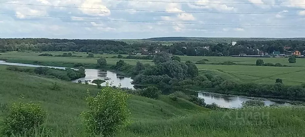 Участок в Владимирская область, Суздальский район, Павловское ... - Фото 1