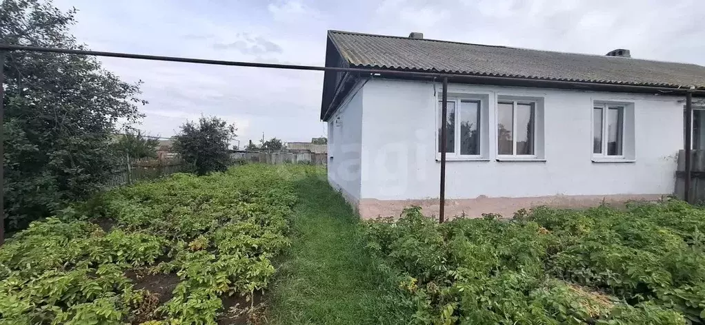 Дом в Саратовская область, Балашовский район, Первомайское ... - Фото 0