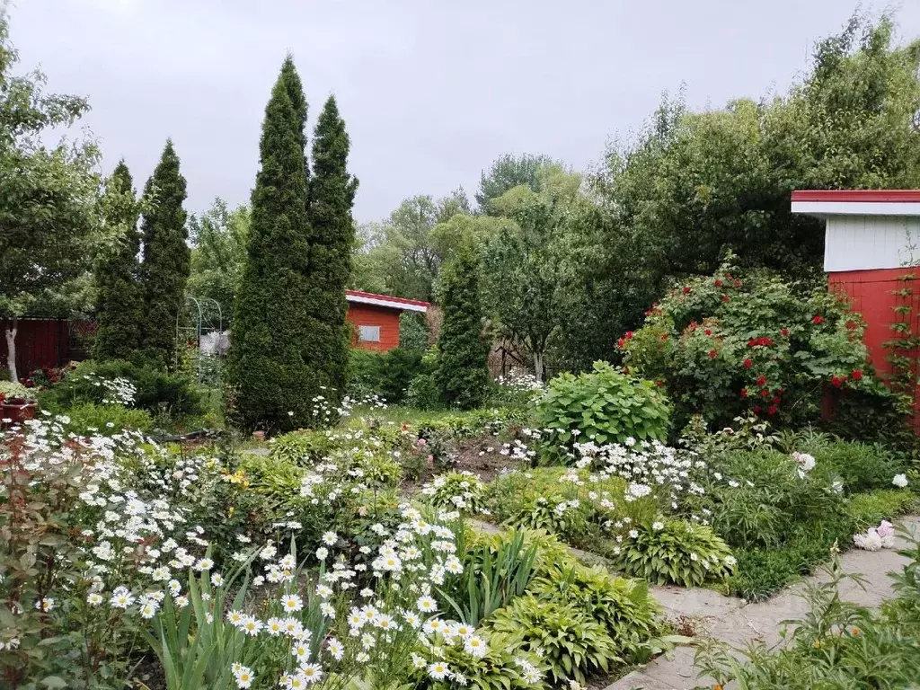 Дом в Белгородская область, Старый Оскол Водник СНТ,  (60 м) - Фото 0