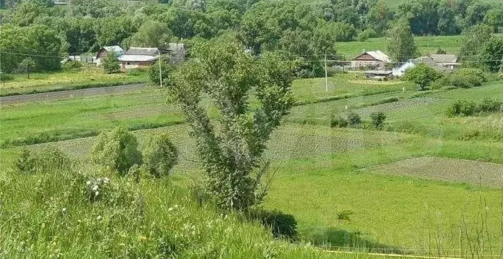 Участок 15 сот. (СНТ, ДНП) - Фото 1