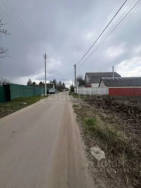 Участок в Воронежская область, Рамонский район, с. Новоживотинное ... - Фото 2