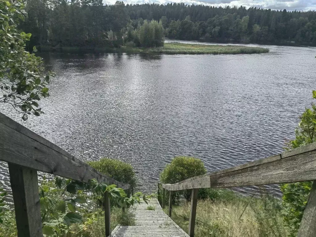 Участок в Ленинградская область, Выборгский район, Светогорское ... - Фото 0