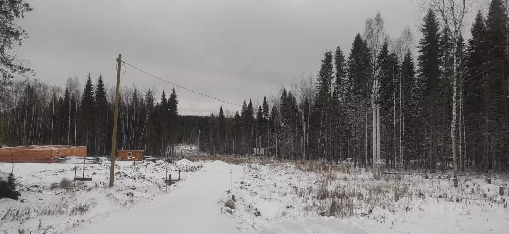 Участок в Коми, Сыктывкар Усадебная ул. (15.0 сот.) - Фото 0