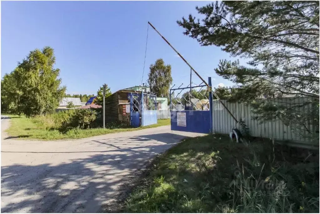 Дом в Тюменская область, Нижнетавдинский муниципальный округ, ... - Фото 2