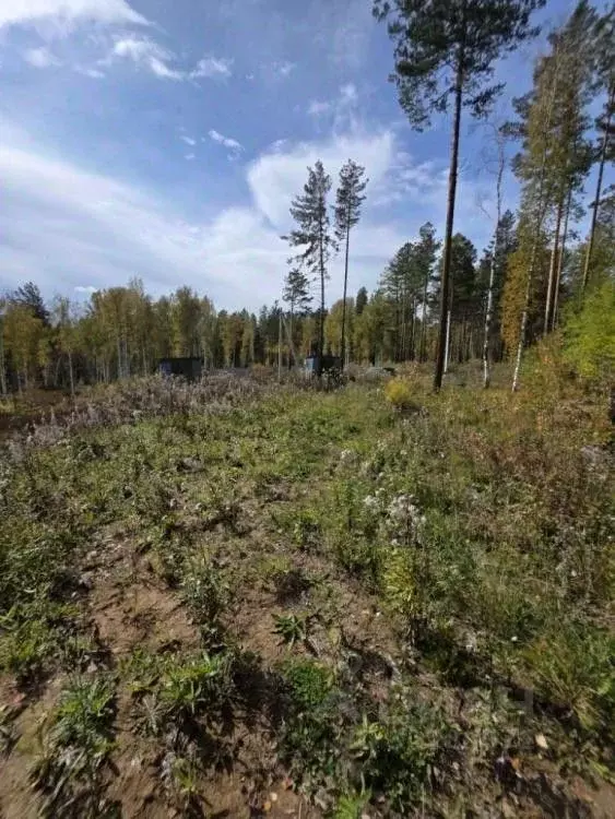 Участок в Иркутская область, Шелеховский район, Большелугское ... - Фото 1