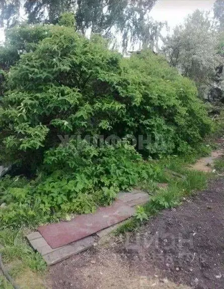 Дом в Томская область, Томск пос. Геологов,  (24 м) - Фото 0