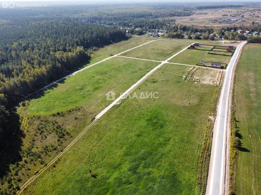 Участок в муниципальное образование Второвское, деревня Новское (20.4 ... - Фото 1