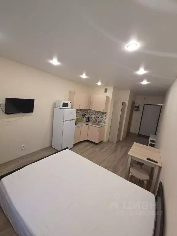 Студия Санкт-Петербург пос. Парголово, ул. Шишкина, 311 (21.0 м) - Фото 1