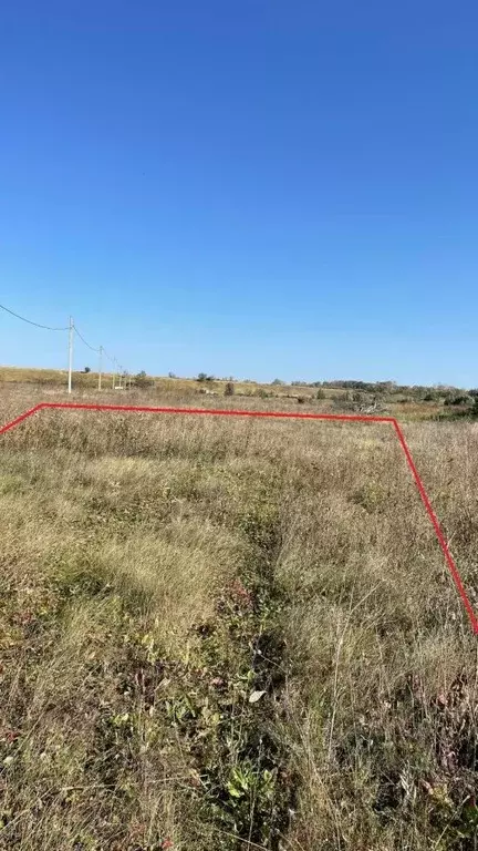 Участок в Рязанская область, Скопинский муниципальный округ, д. ... - Фото 2