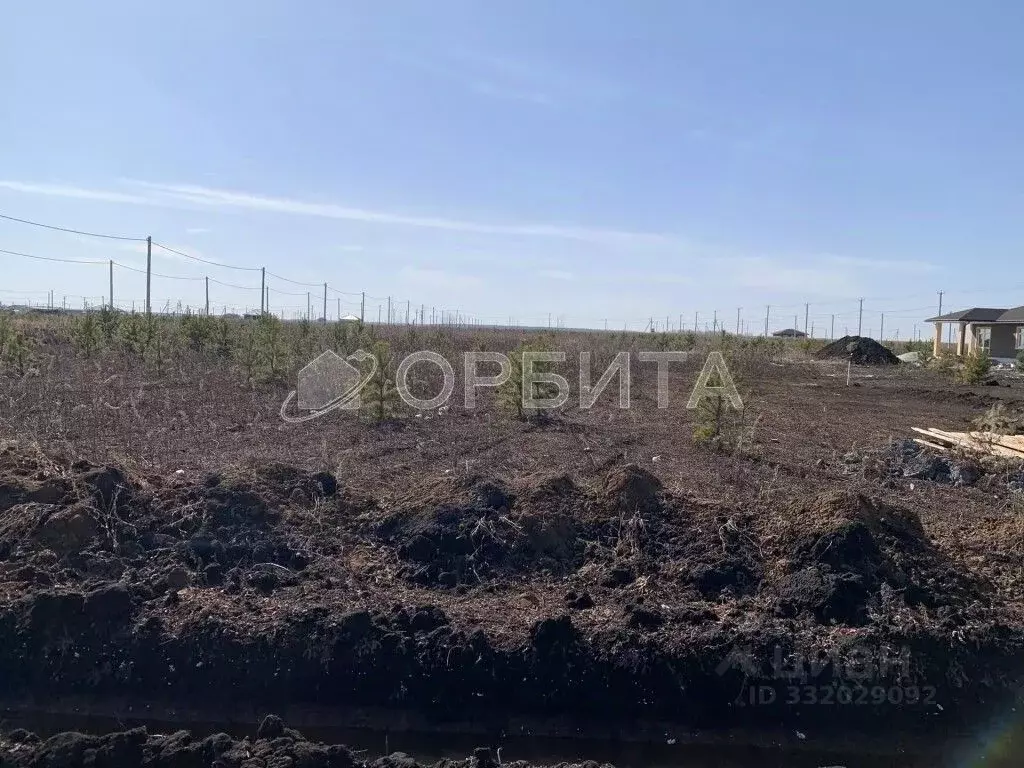 Участок в Тюменская область, Тюмень Р-404, 21-й км, 156 (10.0 сот.) - Фото 2