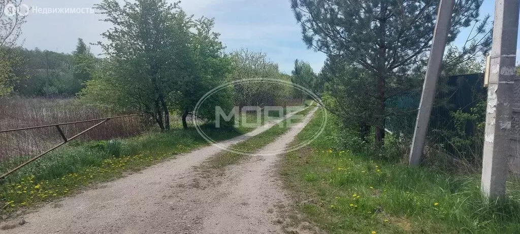 Участок в Калининград, СНТ Родник, Дачная улица, 386 (12 м) - Фото 0