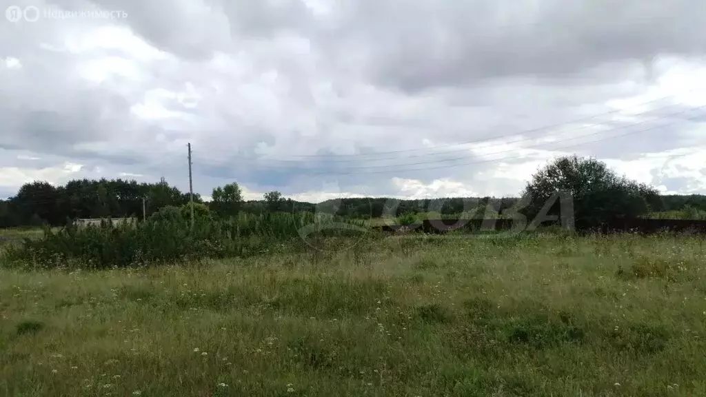 Участок в Свердловская область, Тугулымский муниципальный округ, ... - Фото 2