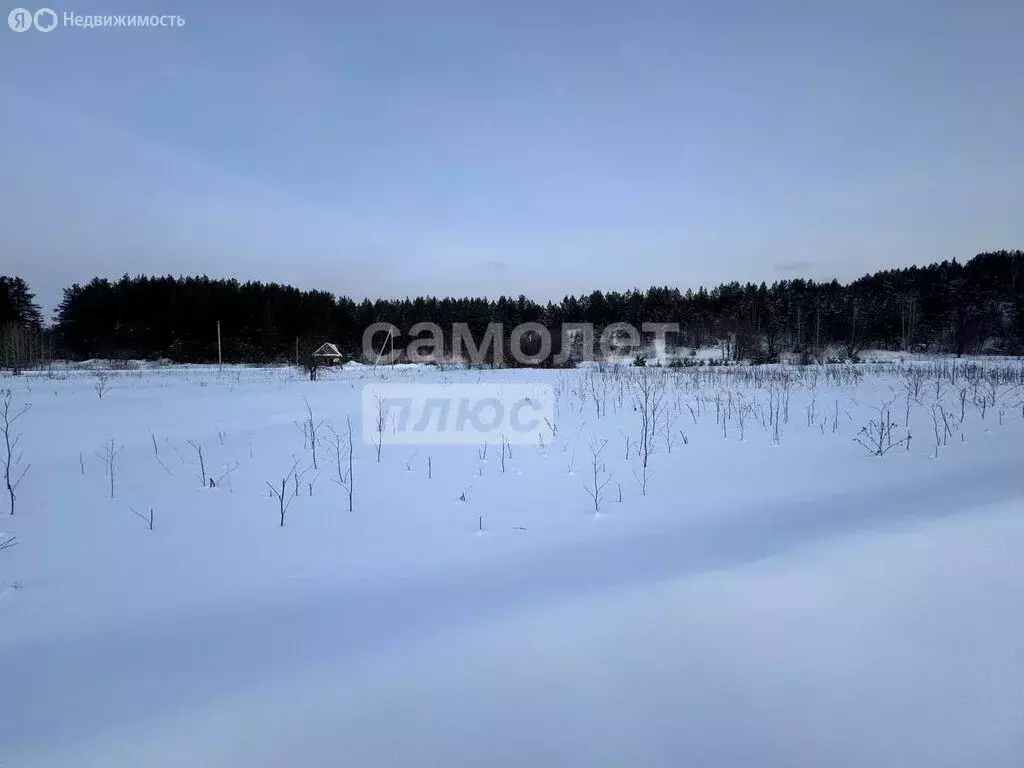 Участок в посёлок Билимбай, посёлок Доломитовый (10 м) - Фото 2