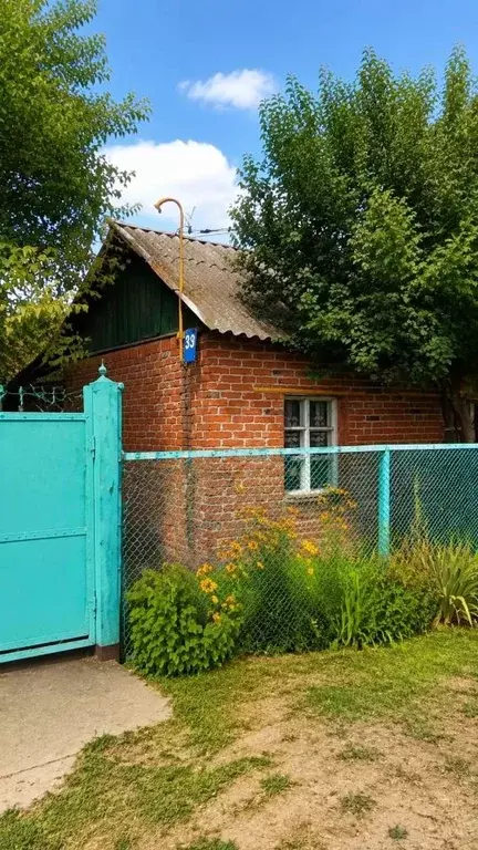 Дом в Воронежская область, Воронеж Электросигнал СНТ, ул. Центральная, ... - Фото 1