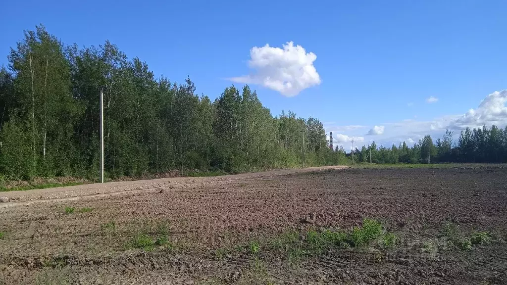 Участок в Новгородская область, Новгородский район, Ермолинское с/пос, ... - Фото 1