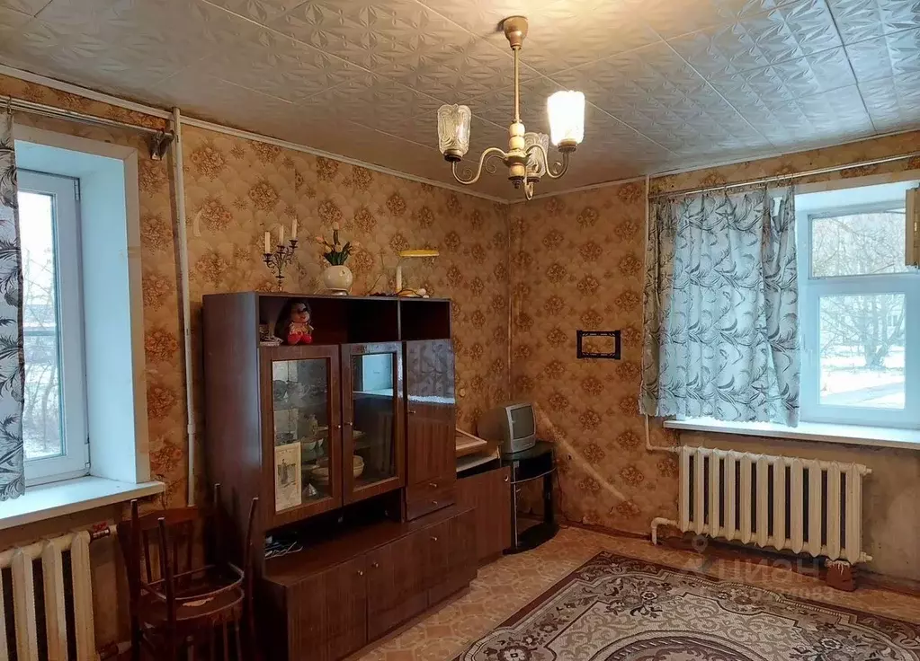 1-к кв. Московская область, Дрезна Орехово-Зуевский городской округ, ... - Фото 1