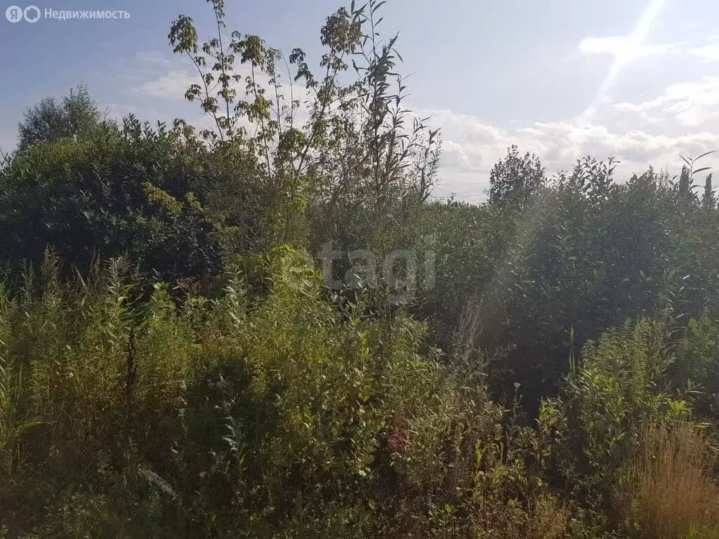 Участок в Отрадовский сельсовет, СНТ Калинка, 1-я улица (396 м) - Фото 1