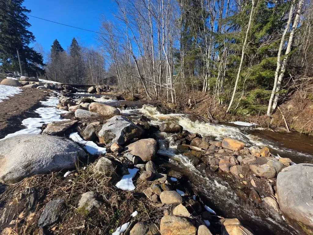 Участок в Карелия, Лахденпохский муниципальный округ, пос. Терваярви ... - Фото 2