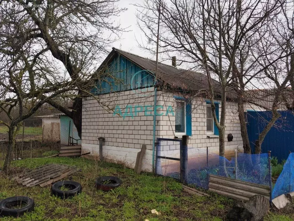 Дом в хутор Заречное, Дачная улица (28.2 м) - Фото 2