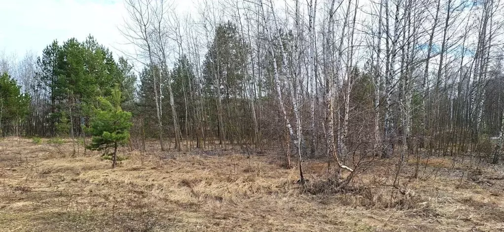 Участок в Воронежская область, Рамонский район, Айдаровское с/пос, ... - Фото 1