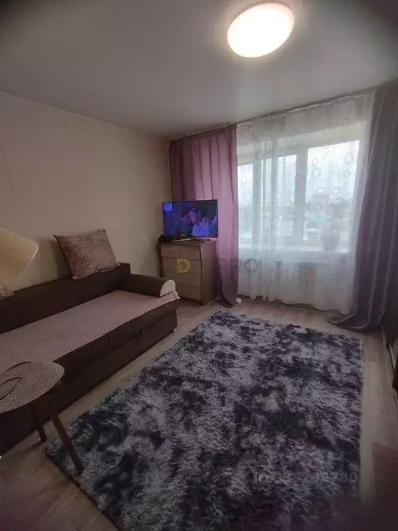 Студия Алтайский край, Барнаул ул. Малахова, 65 (19.0 м) - Фото 1