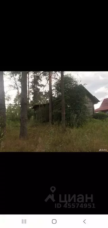 Дом в Вологодская область, Кадуй рп ул. Павлова (64 м) - Фото 1