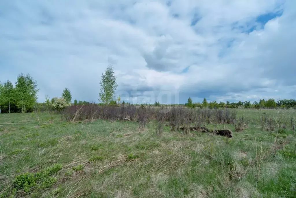 Участок в Алтайский край, Бийский район, Зверовод СДТ ул. Алтайская, ... - Фото 1