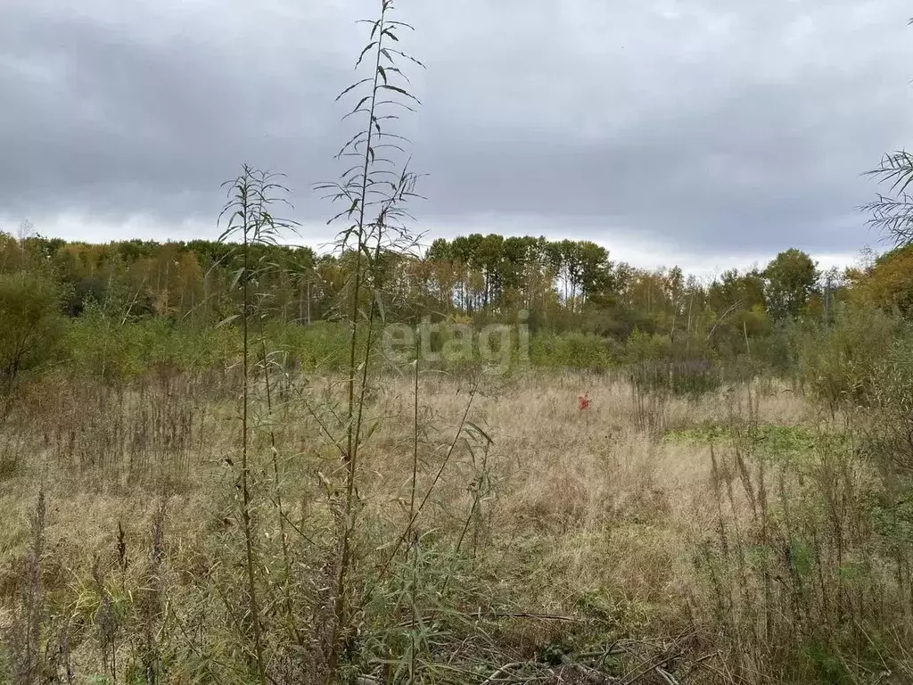 Участок в Хабаровский край, Хабаровский район, с. Сосновка (19.5 ., Купить  земельный участок Сосновка, Хабаровский район, ID объекта - 20007069450