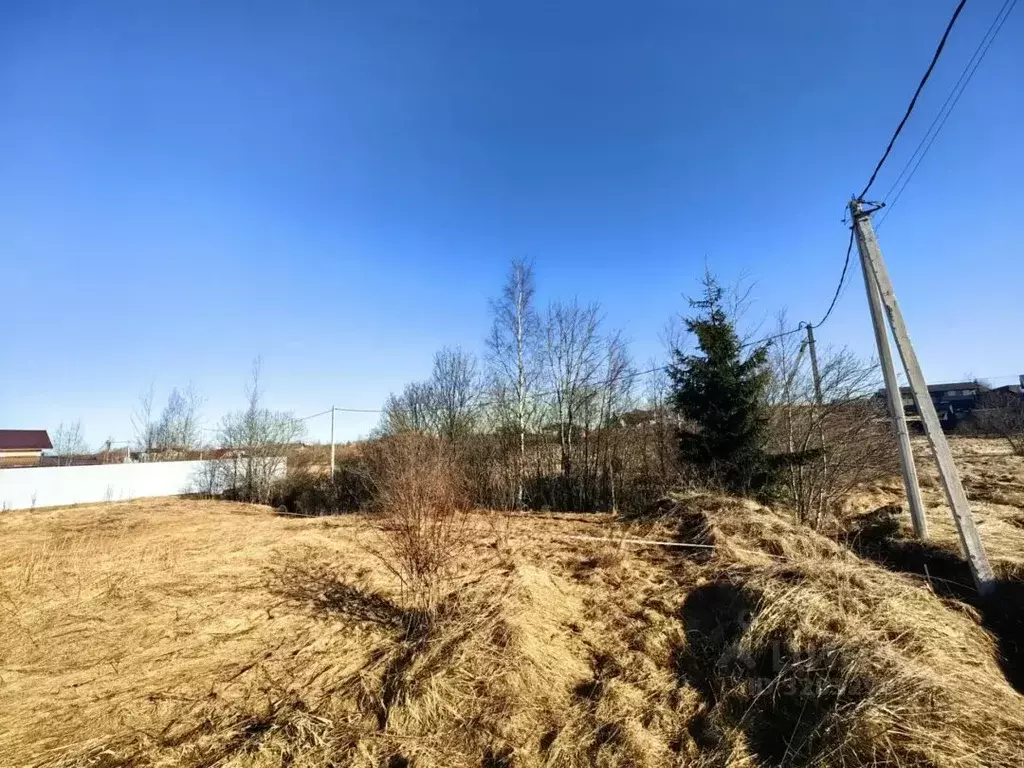 Участок в Ленинградская область, Всеволожский район, Лесколовское ... - Фото 2