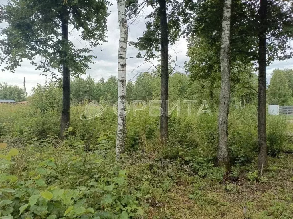 Участок в Тюменская область, Нижнетавдинский муниципальный округ, ... - Фото 2
