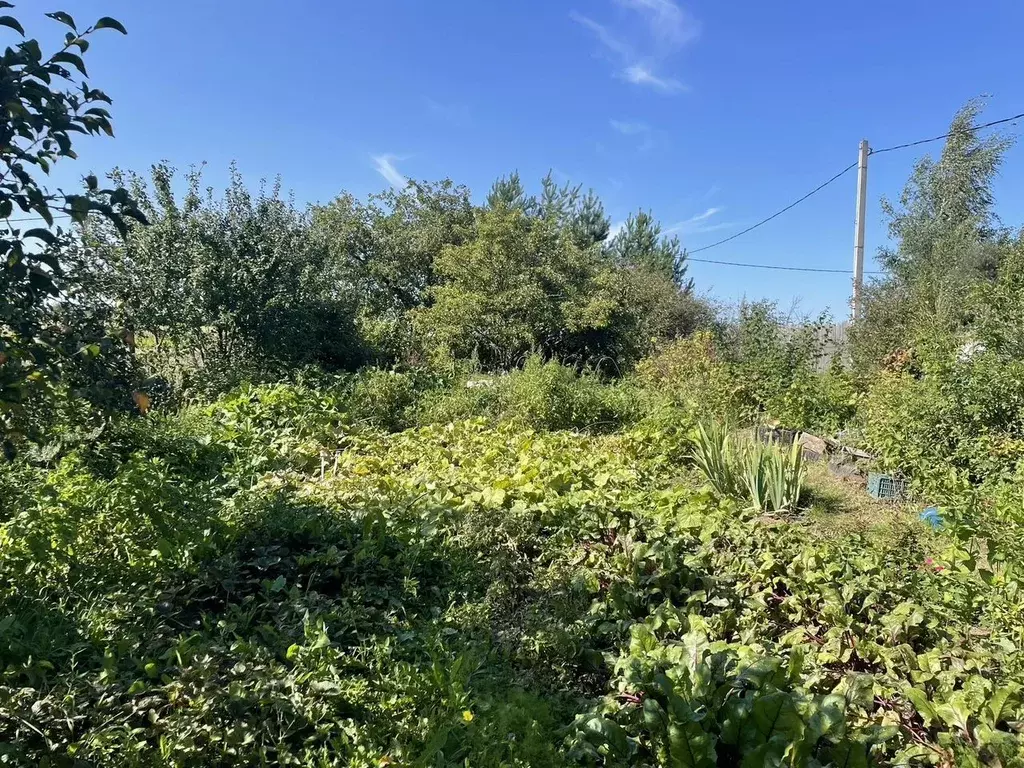Участок в Московская область, Кашира городской округ, д. Ягодня  (16.0 ... - Фото 2