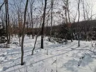 Участок в Приморский край, Владивостокский городской округ, пос. ... - Фото 1