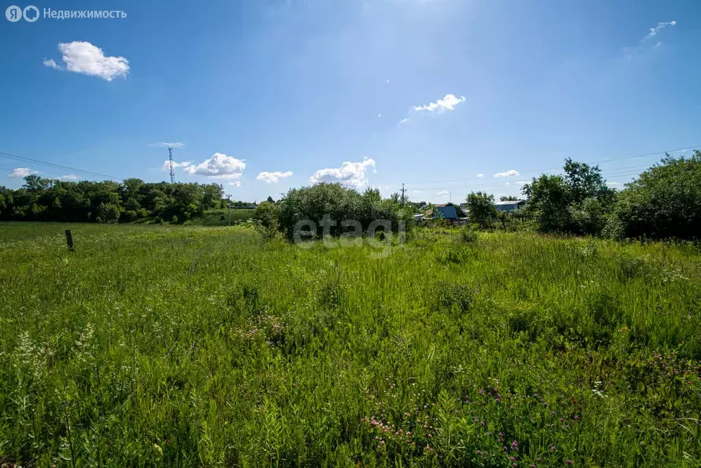 Участок в село Ближнее Борисово, Школьная улица (25 м) - Фото 1