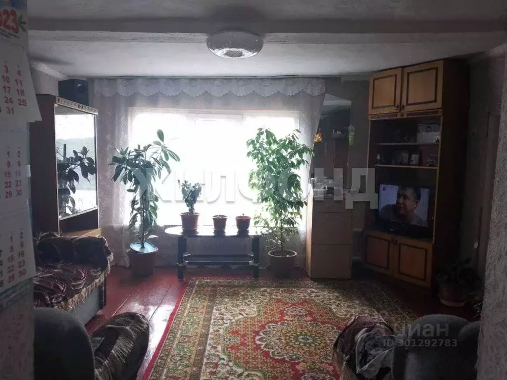 Дом в Алтайский край, Троицкий район, с. Троицкое пер. Смыкова (48 м) - Фото 0