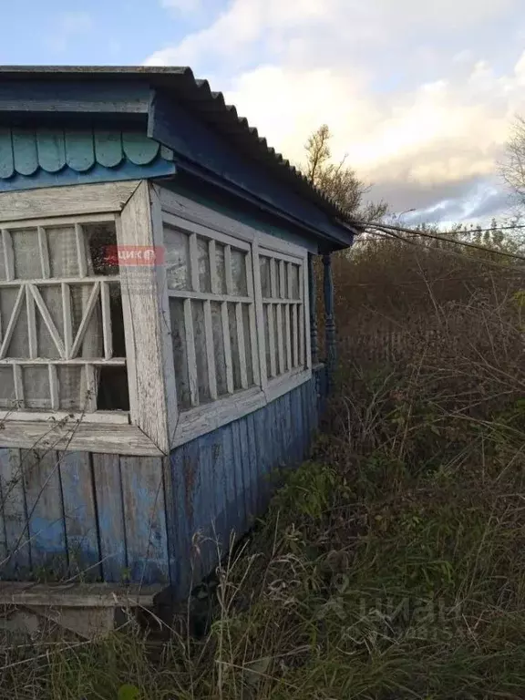 Дом в Рязанская область, Сараи рп ул. Казинка, 2 (41 м) - Фото 0
