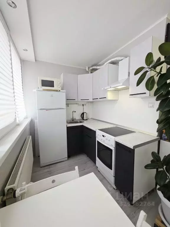 Студия Санкт-Петербург просп. Энгельса, 149К3 (26.0 м) - Фото 2