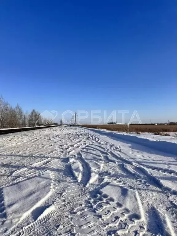 Участок в Тюменская область, Тюменский муниципальный округ, Серебряный ... - Фото 1