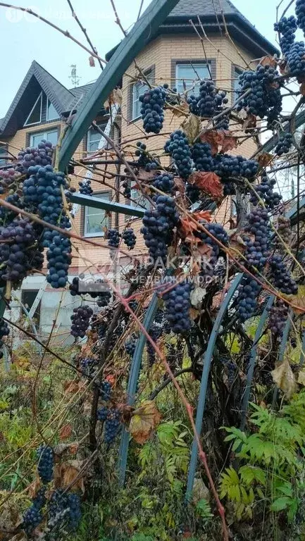 Дом в Алексин, улица Ломоносова, 28 (258 м) - Фото 1