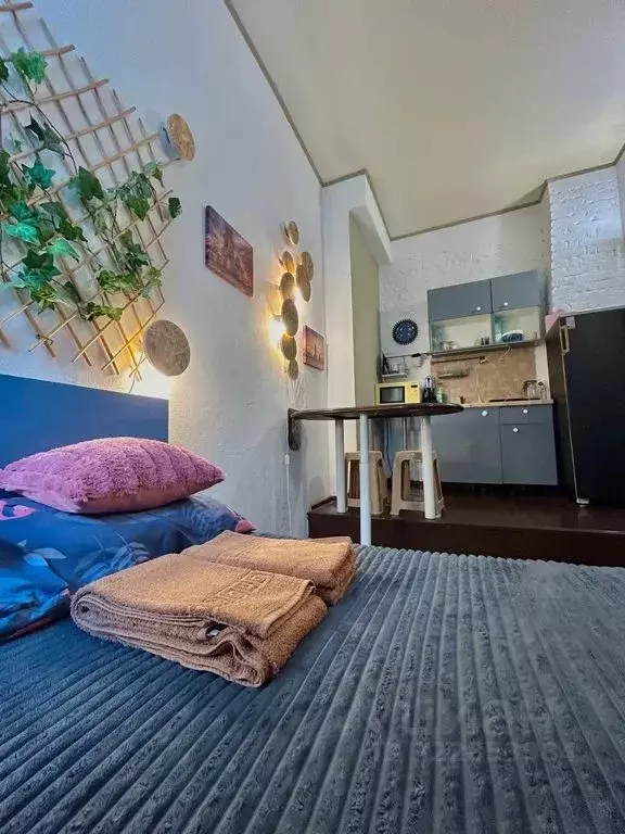 Студия Московская область, Электроугли Богородский городской округ, ... - Фото 2