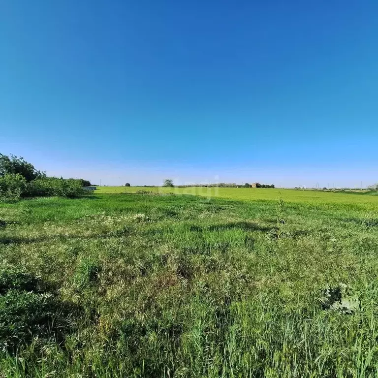 Участок в Краснодарский край, Ейский район, Кухаривское с/пос, ... - Фото 2