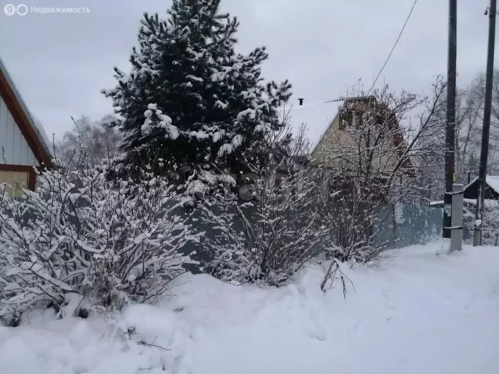 Дом в Богашёво, улица Новостройка (31 м) - Фото 1