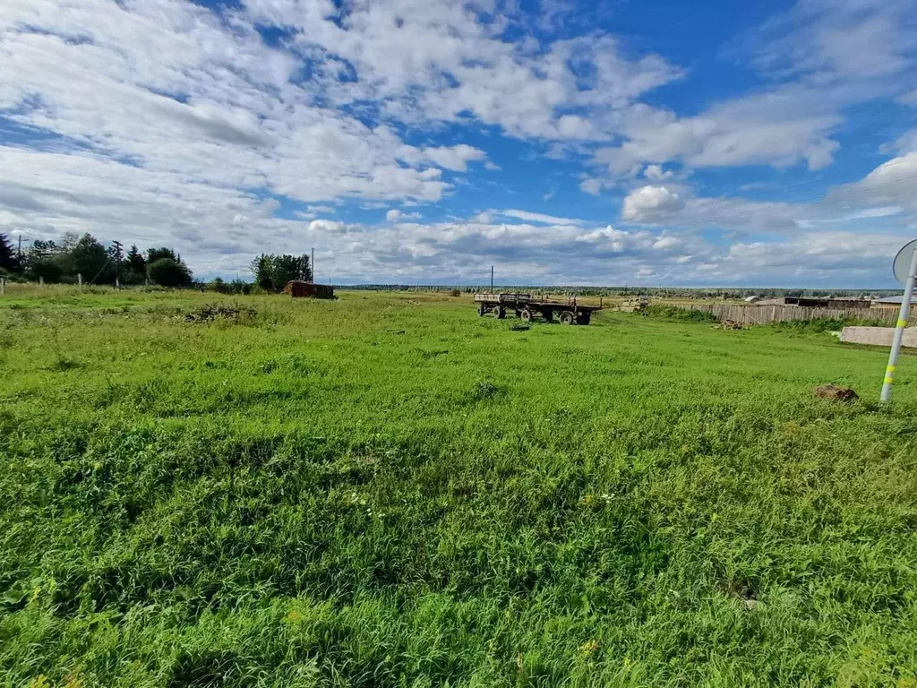 Участок в Красноярский край, Сухобузимский район, с. Шила ул. Ленина ... - Фото 0